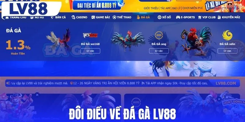 Đôi điều về đá gà LV88